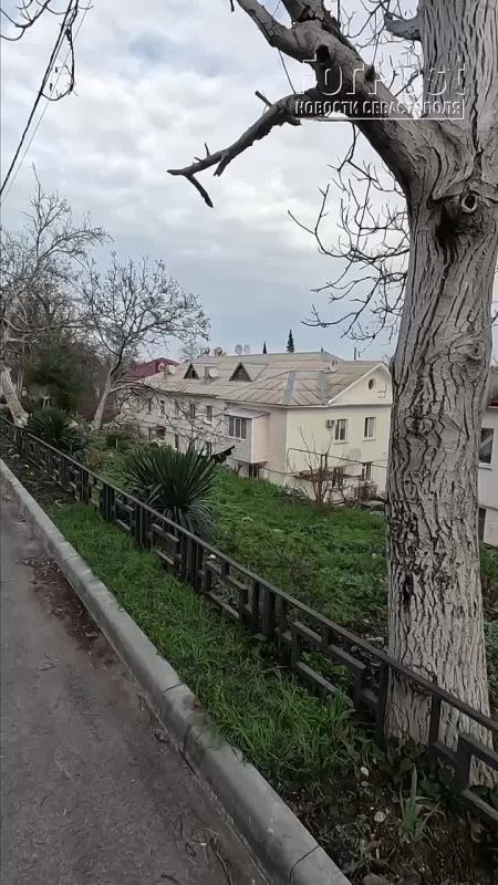 ��� ����� �� ���� �������. � ���