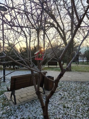 � ������ �����, ������!. � ����������� ��� ������������ �������