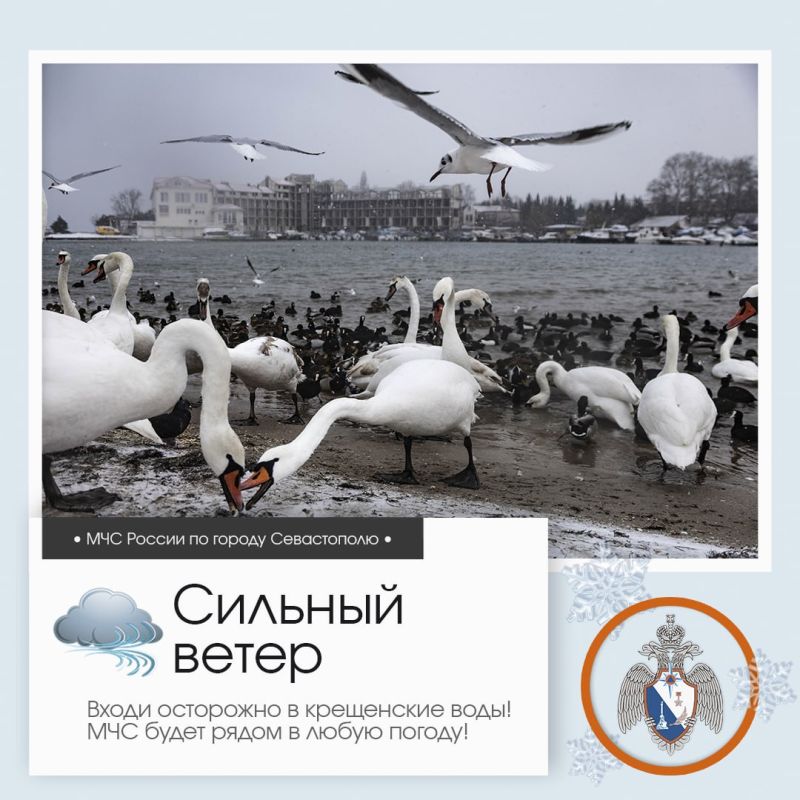 Доброе утро, Севастополь!. По данным гидрометцентра, 19 января в Севастополе будет облачно с прояснениями