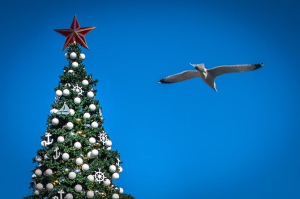 �������� ���� �� ������� �������� ������ 21 ������