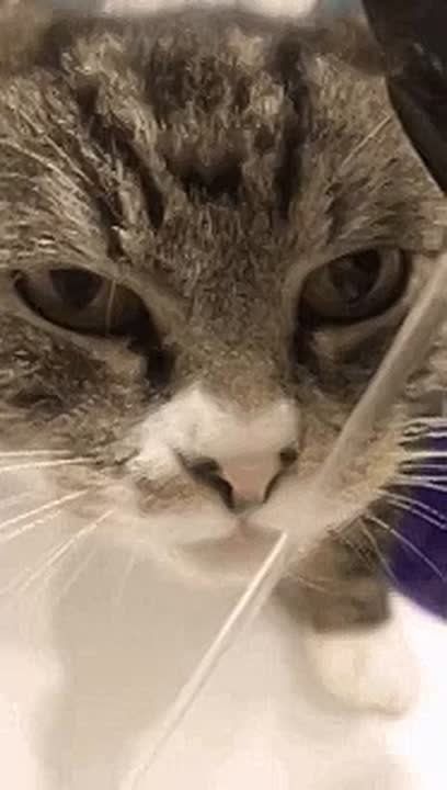 ������ 8,6 ������ ������� �������� ���� � ����� �� ������� ������