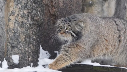 ����� ������� ���������� �� ����� ��������� � ����� ��������