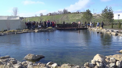 �������� ��������: � ��������� �������� ��������� � ���� ������