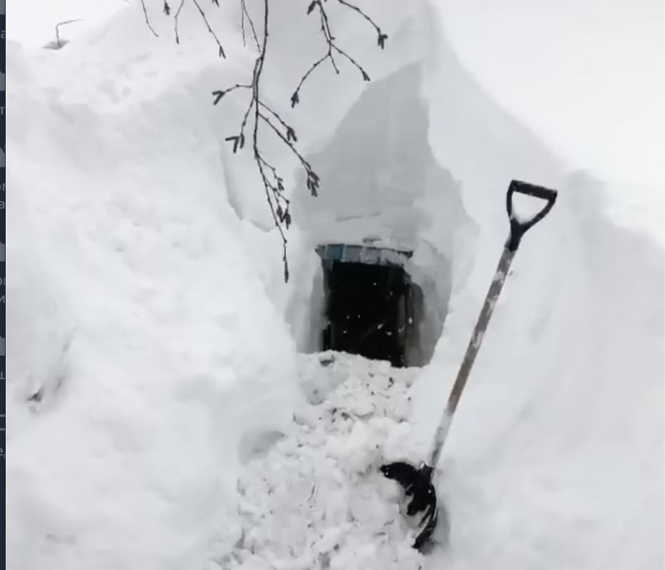 �� �������� ���������� �� ����� ���� � ������