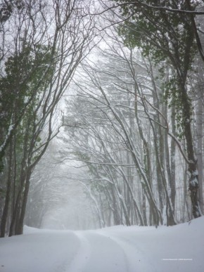 ������� ������ �� ���� �� ���� ��-����� �������