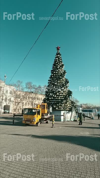 Праздники — всё. На площади Нахимова начался демонтаж новогодней елки и новогодних инсталляций