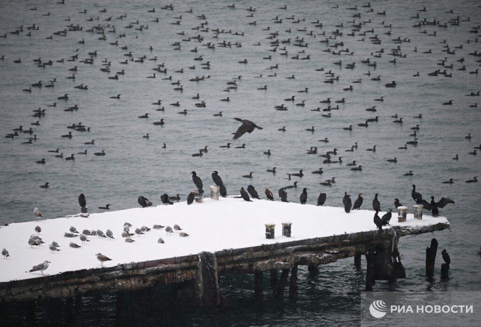 ������� ������ � ����� �� �������