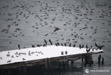 Прогноз погоды в Крыму на четверг