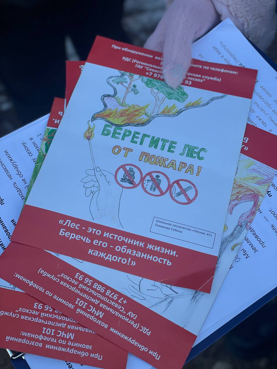 За порядком на лесных территориях постоянно следят специалисты надзорных ведомств