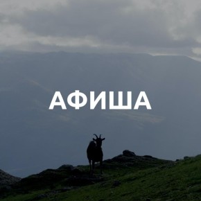 �������� ������� � ���� � ���� ����� �������� ���� ����, �� ��������: