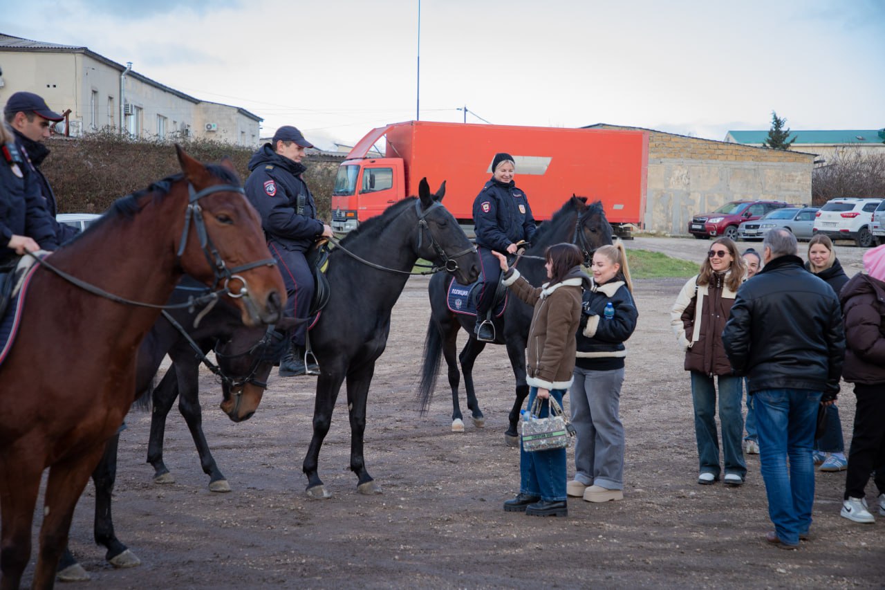 «Изнутри службы». Часть вторая: четвероногие напарники севастопольской полиции