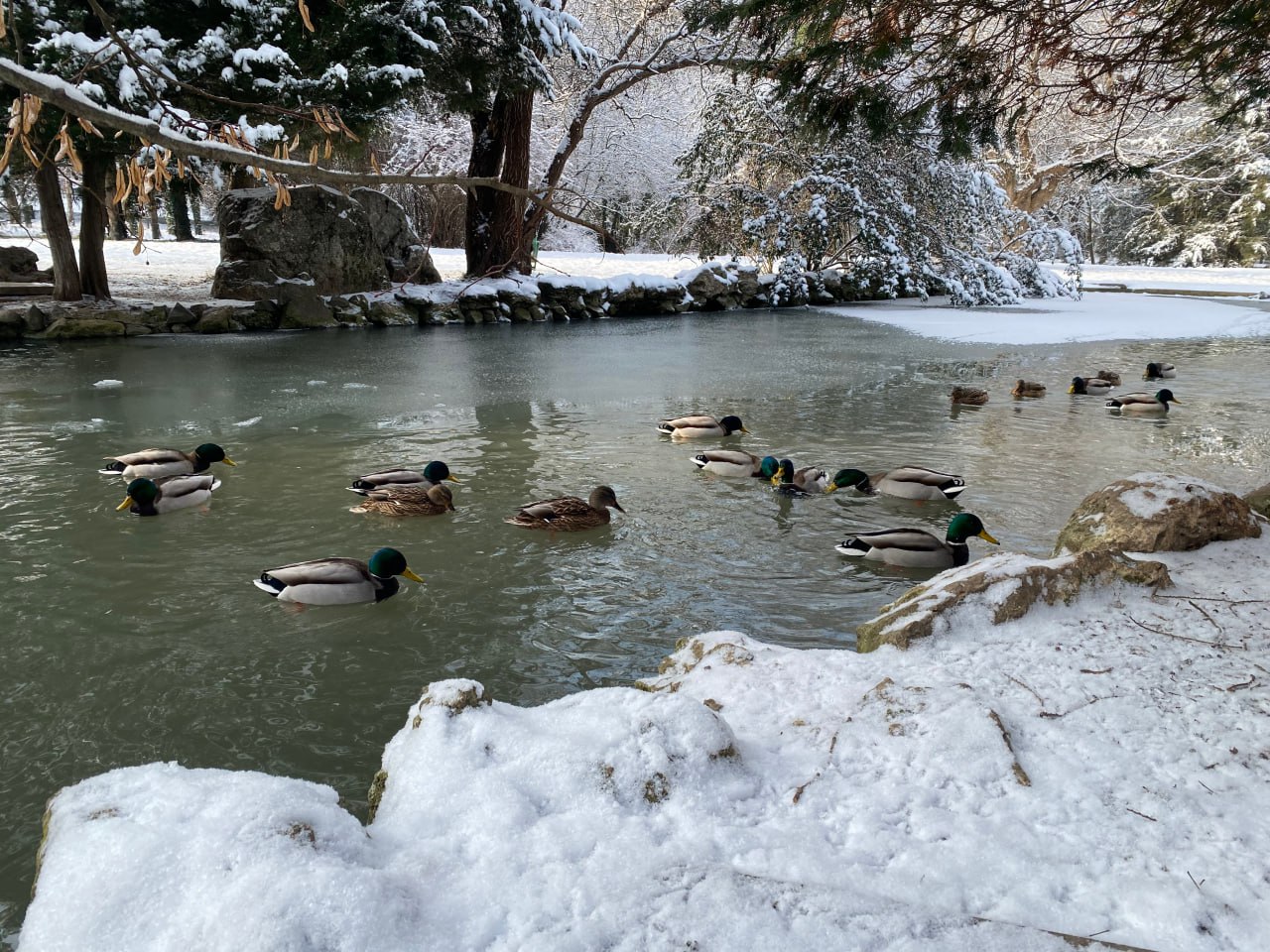 Прогноз погоды в Крыму на 23 января