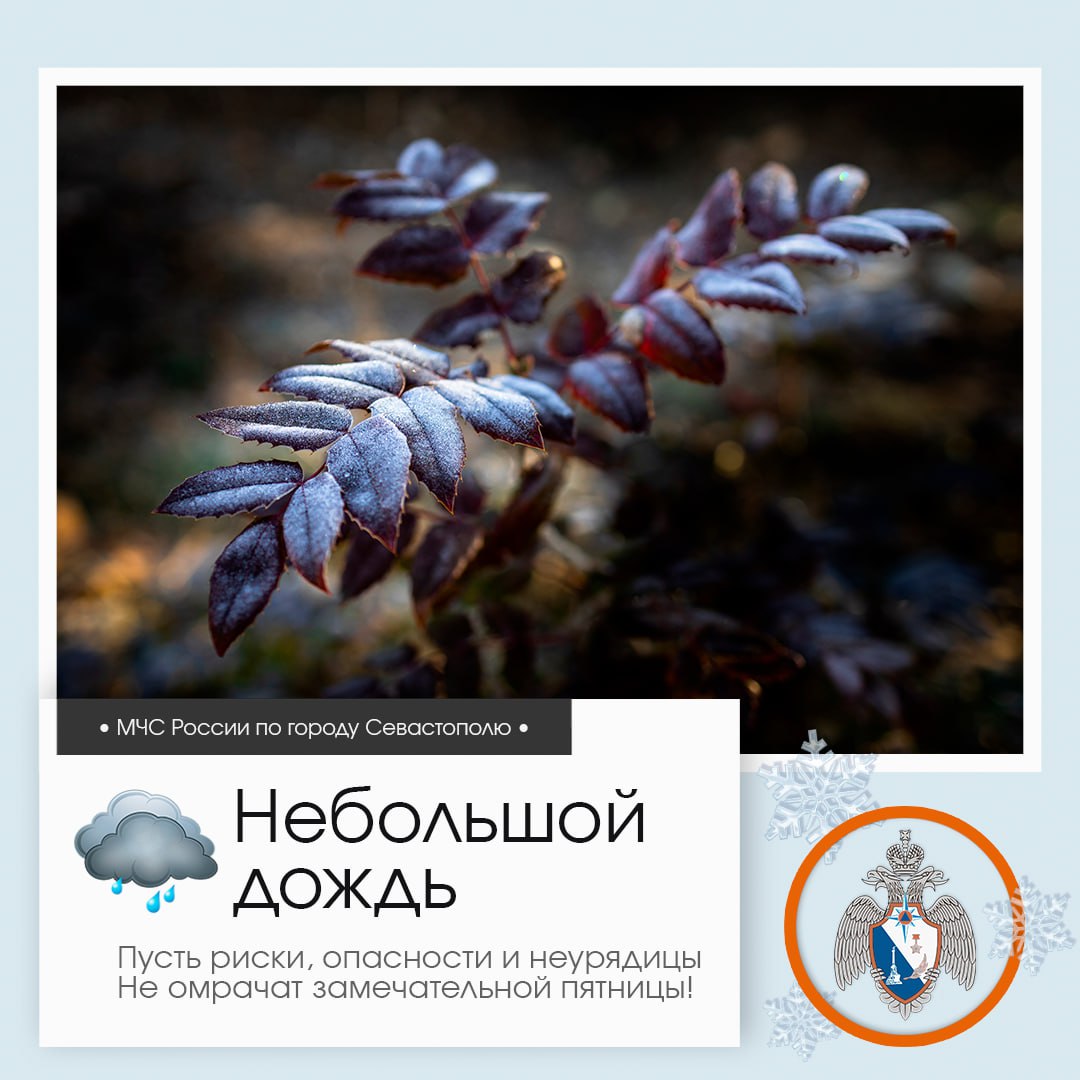 Доброе утро, Севастополь!. По данным гидрометцентра, 22 января в Севастополе будет переменная облачность