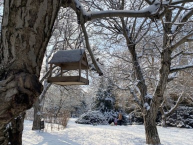 Прогноз погоды в Крыму на 24 января