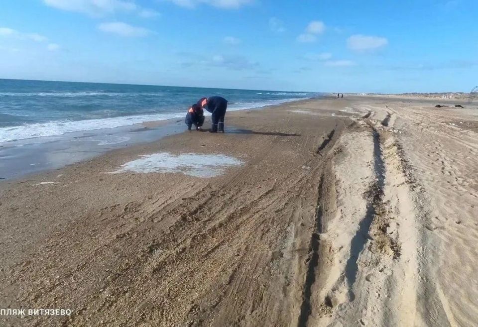 ����� �������� ������ �� ��������� ׸����� ���� ���