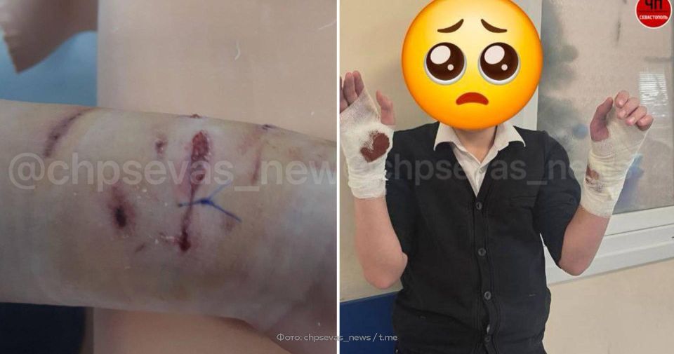 ��������� ������ ������ �� �������� ������������