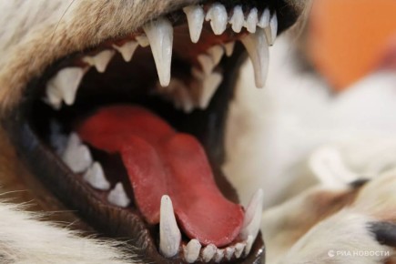 � ����������� ������ ������� ������� � ����������� ������ ��������