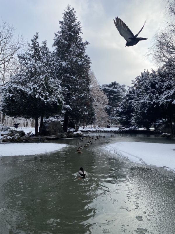 Прогноз погоды в Крыму на 25 января