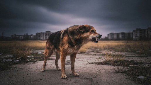 �� �������� ���� � ���������� ����� ��������� ������ �� ������ � �����������