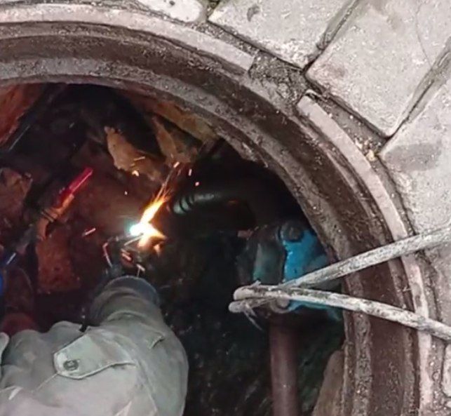 ���������: ������� �������. ��������-����������������� ������ �� ��. ������� ��������, ��������� �����, ��. ����������, ��. �������, ��. ���������, ��������������� �����, ��. ������� ���� ���������� ���������, ������...