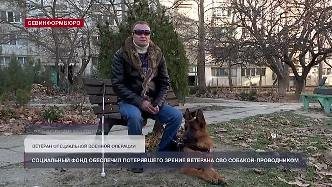 Ветеран СВО из Севастополя получил собаку-проводника