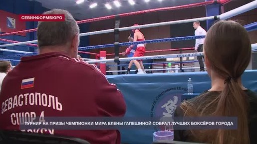 Турнир на призы чемпионки мира Елены Гапешиной собрал сильнейших боксёров Севастополя