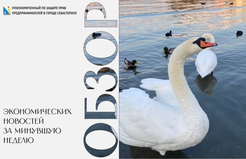 Илья Пестерников: Президент России Владимир Путин на совещании с членами Правительства: