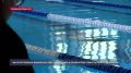 Более 300 спортсменов вышли на старт чемпионата и первенства Севастополя по плаванию