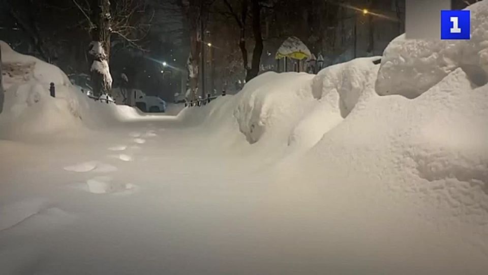 �������� � ������: �������� ���������� ������� ���������