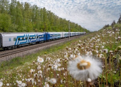 ����� �������� ��������: �� ����������� � ������ �� 29 �����