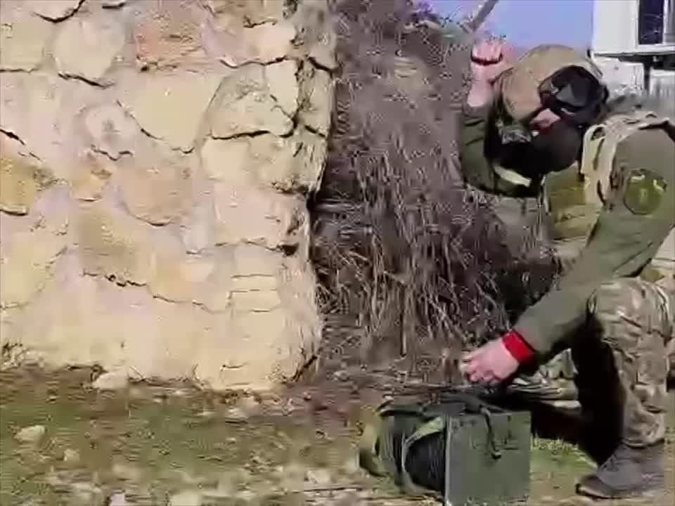 ���������� �����������, ������� � ������������� ������������, ����������� � �����������