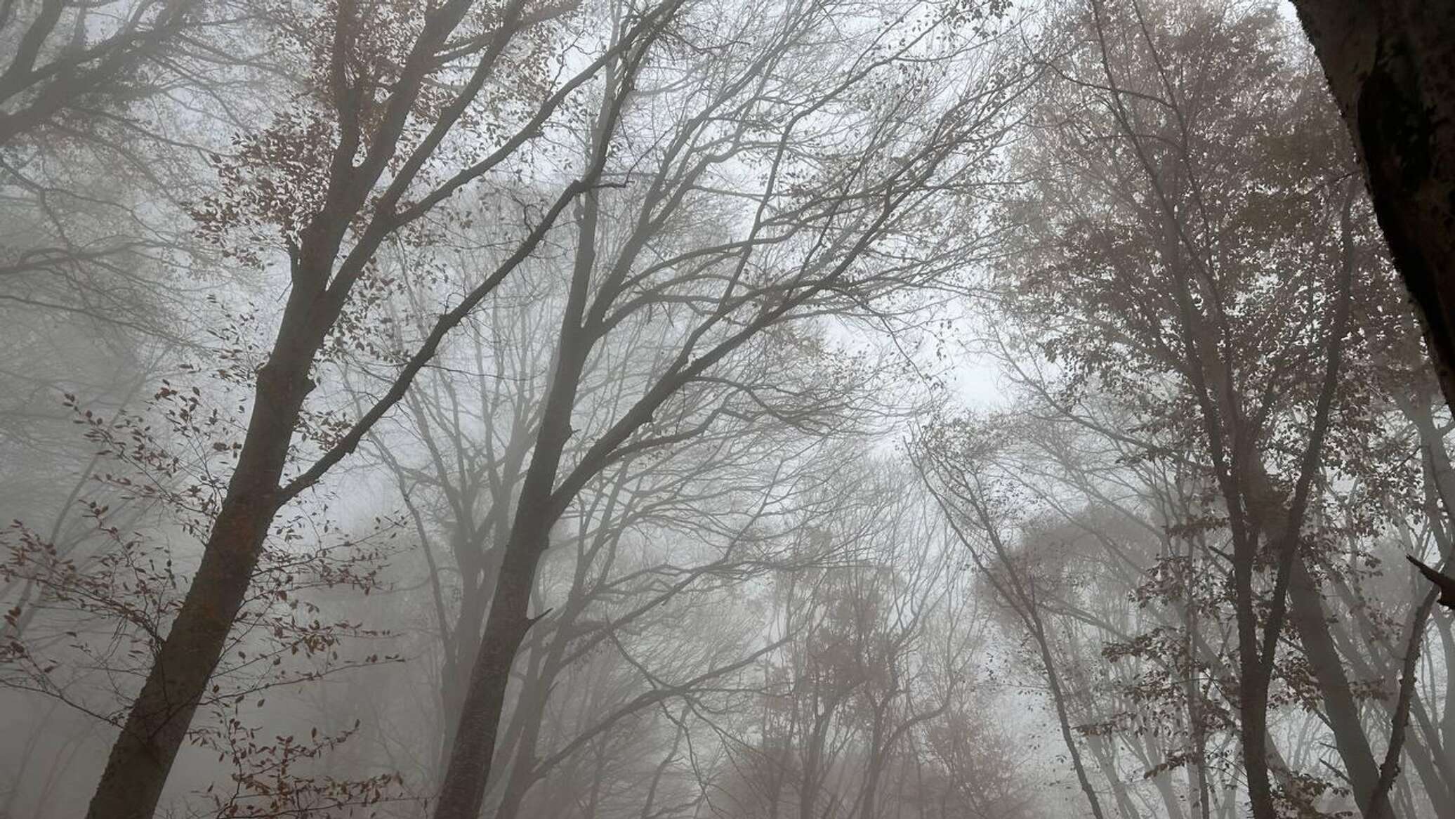 Местами туман и до +14: погода в Крыму в среду