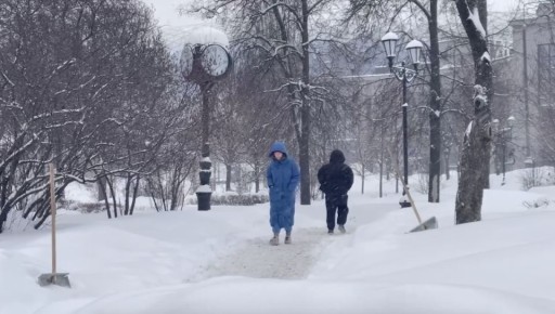 �� 50% �������� ����� ����� ������ � ���������� ������� �� �����