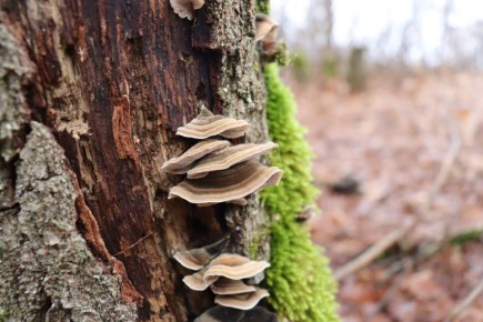 ������� ������ � ����� �� 28 ������