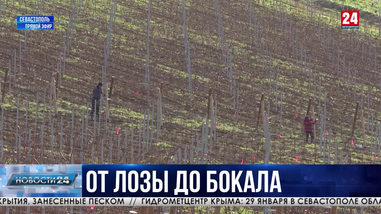 Больше двух миллионов рублей из бюджета Севастополя направят на поддержку молодых специалистов