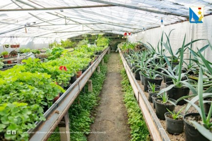 �������� � ������� ������� ������ ����������� ������