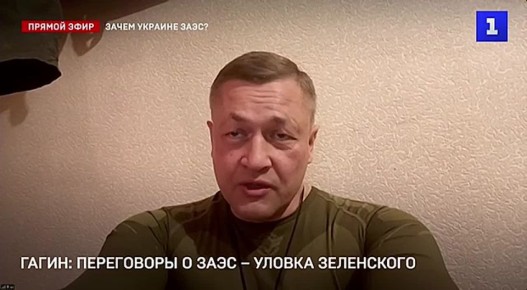 Обсуждение ЗАЭС для Зеленского - лишь повод чтобы уйти от реальных мирных переговоров