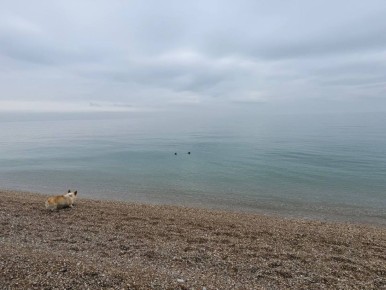 Доброго утра, друзья!. В Севастополе в четверг без осадков