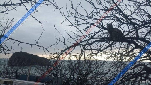 В выходные в Севастополе резко похолодает