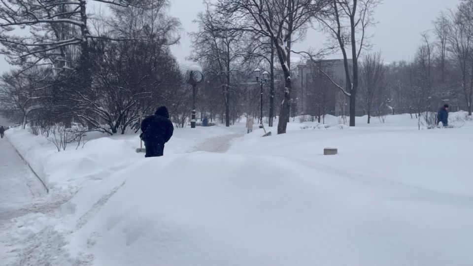 �������� ������: ������ ���� ������� �� �������