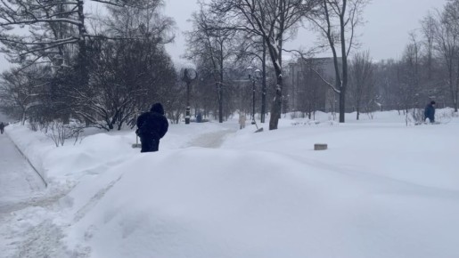 Заметает снегом: Москва бьёт рекорды по осадкам