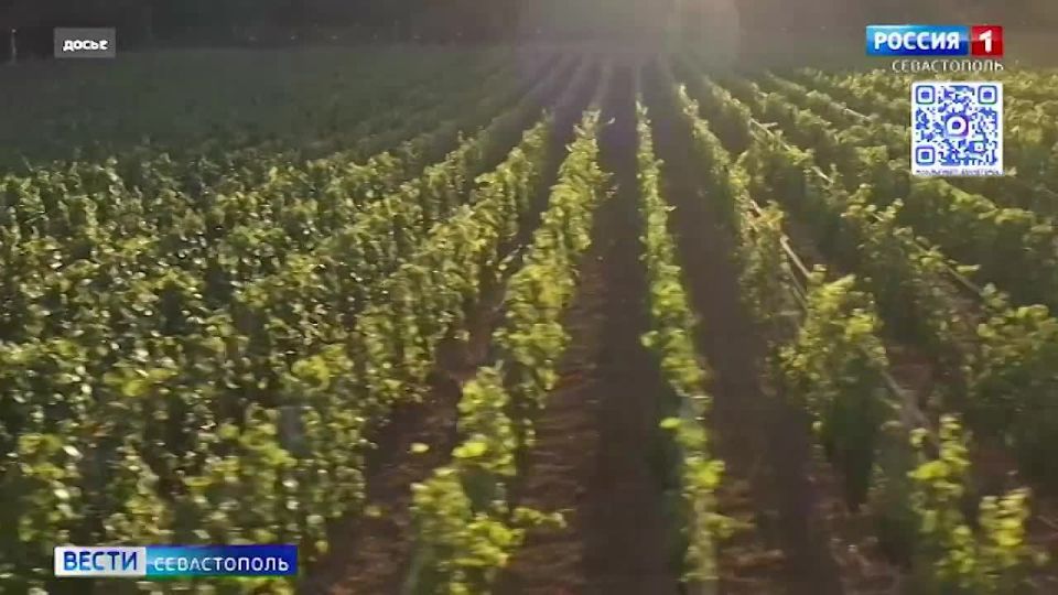 ���������������� �������� �������� ������ � ������