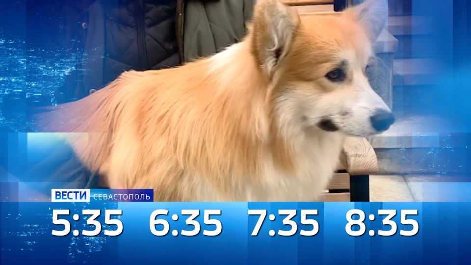 ������ ������������ ���� 29 ������ 2026 ����