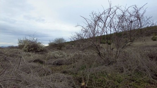 � ����������� � ����� ����� ������ ����� 28 ����������� ��� ������������ ��������� ��������