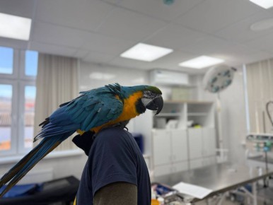 Николай Приставка: Подвели итоги работы госветклиник за январь 2026 года