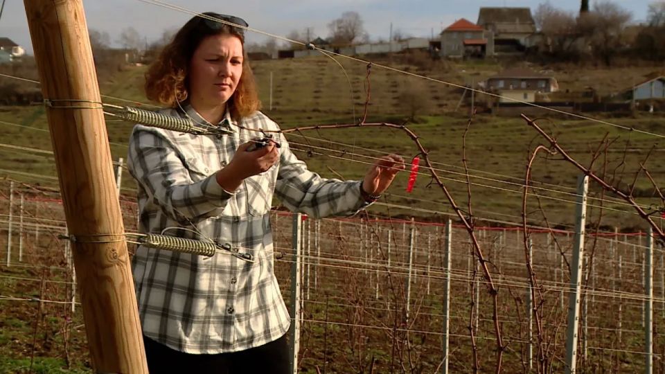 ��������� �����: ���������������� �������� �������� ������ �� ������������� ��������