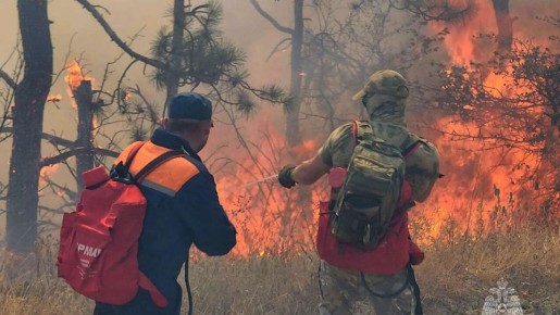 В Севастополе начали готовиться к защите лесов от пожаров