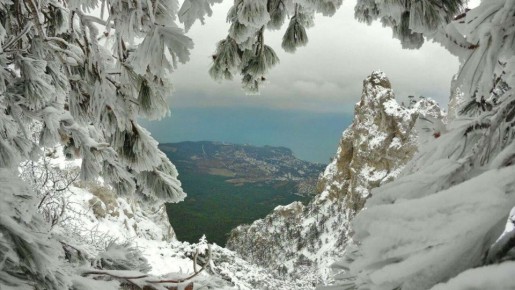 Первый месяц года 2026 глазами очевидцев