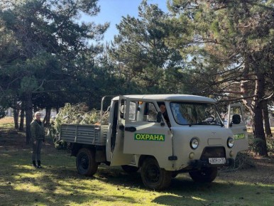 � ��������������� ���������� ����������� ���������� ������� ������ ���������