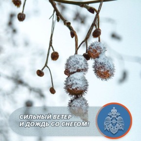 Сильный ветер и дождь со снегом завтра в Севастополе!